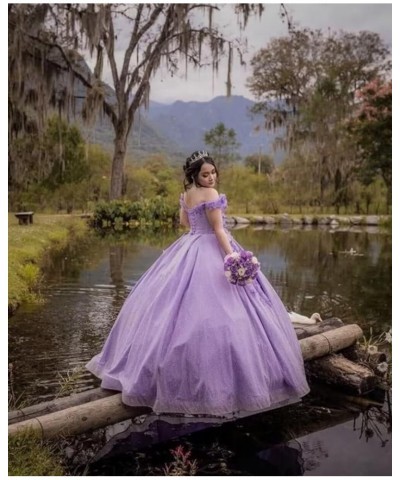 Gorgeous 3D Floral Quinceanera Dresses Puffy Tulle Ball Gowns for Women Off Shoulder Long Prom Dress FFtu09 Dusty Purple $55....