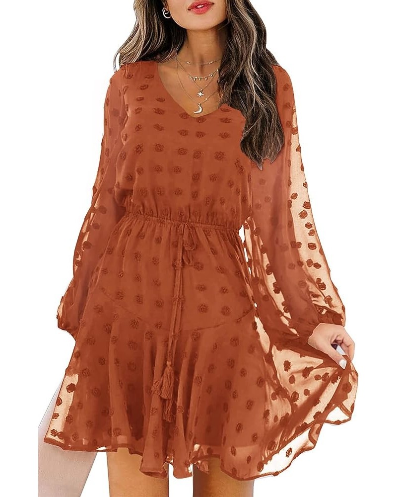 Women's 2024 Spring Summer Long Sleeve V Neck Flowy Mini Dress Swiss Dot High Waist Chiffon Casual Dresses Brown $16.73 Dresses