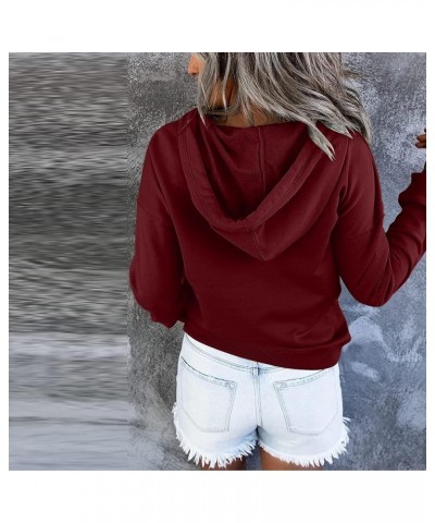 Women's Fall Sweatshirt 2023 Casual Fashion Solid Color Long Sleeve Pullover Hoodies Sweatshirts, S-2XL 1-wine $6.90 Hoodies ...